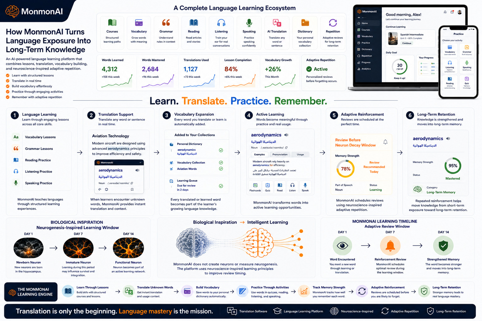 From translation to long-term memory